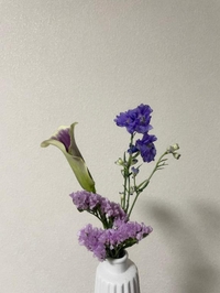 お休みの日💜