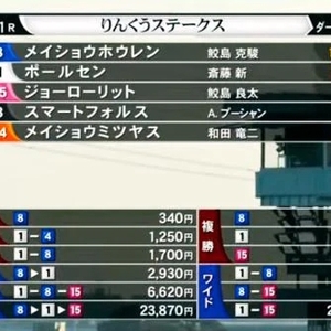 🐴 りんくうステークス 🐴