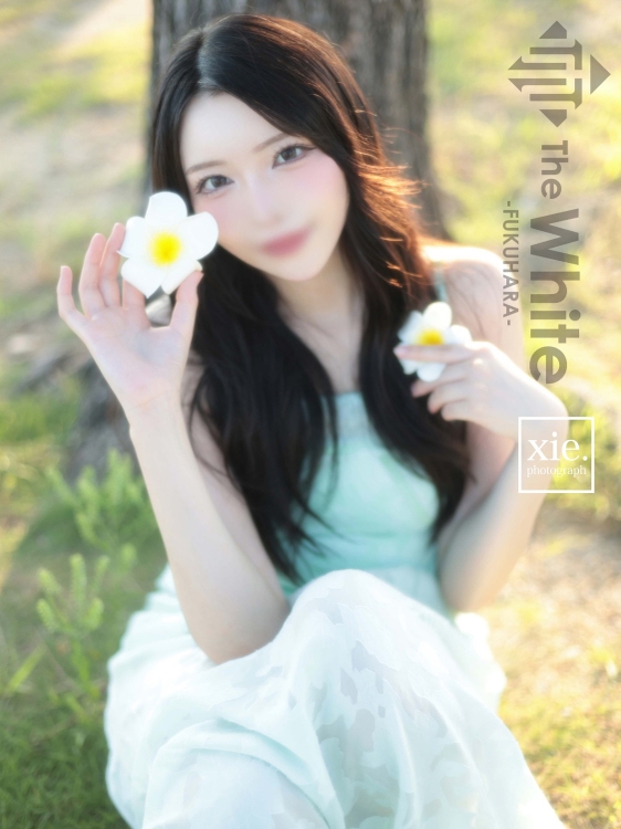 てん6枚目