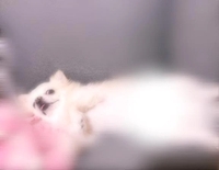 昨日はごめんなさい🙏💦