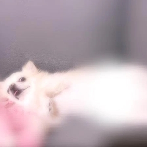 昨日はごめんなさい🙏💦