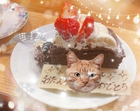 そういや4月は誕生日あるんやった‼️