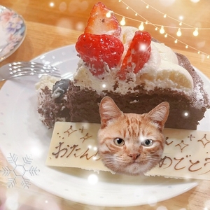 そういや4月は誕生日あるんやった‼️