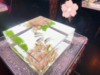 明日は10時から( ̳- ·̫ – ̳ˆ )◞❤︎