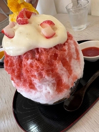 心配です、、