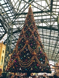 早めのご予約❣️