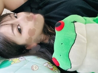 シュミレーター