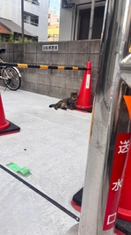 最近ずっと満枠ありがとう😭