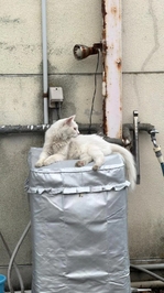 おはようございます❣️