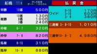 かしわ記念🏇払戻金💰