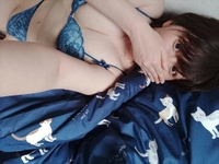 のぞみを覗いてみますか？