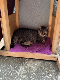 出勤中🏃‍♀️