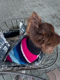 『シルバーのオープンカー』