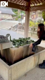 【🎥516】心身を清めて✨