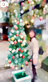 【🎥602】街がキラキラする季節