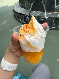 🛁🐈🍨