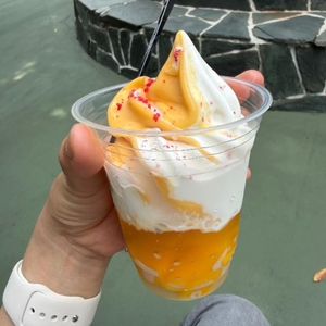 🛁🐈🍨