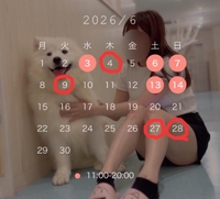 追加と後半?