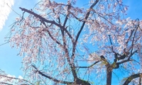 おはようございます🥹💞