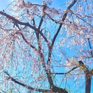 おはようございます🥹💞