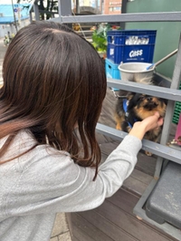 幸せ(  ´˘`  )♡