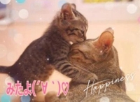 みたよ(*ˊ˘ˋ*)♡