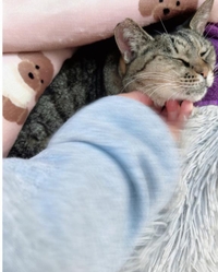 みたよ／シフト