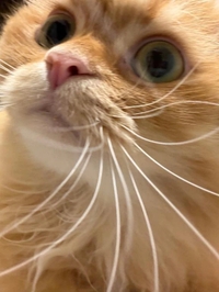 ありがとう💗💗💗