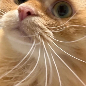 ありがとう💗💗💗