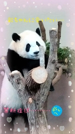 そろそろ禁断症状??????