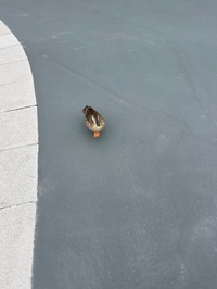 お休み