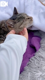 みたよ／シフト