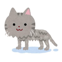 💡エックスアカウント💡