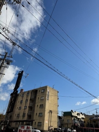 雄琴のラプンツェル