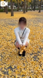 今年はどんな紅葉🍁が見れるのかな？？