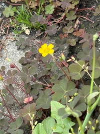 おくすり飲めたね︎💕︎