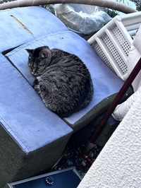 迷っちゃう
