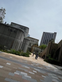 お久しぶりに出勤とちょっとお願い