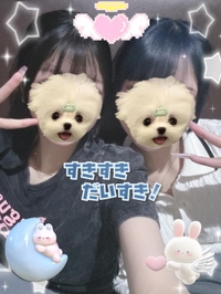 ⚠️天使界隈⚠️