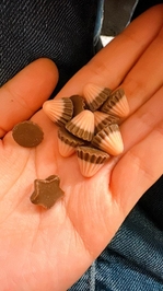 ハッピーみっけ⭐️🎶