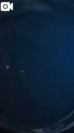 【🎥1179】待ち遠しい