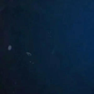 【🎥1179】待ち遠しい