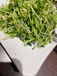 12時から💝
