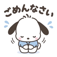 ごめんなさい🙇‍♀️