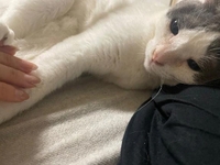🧡本日のお礼と明日のお知らせ🧡