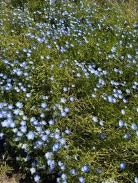 ⚠️公式LINE消えた😭