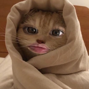おやすみ🌝