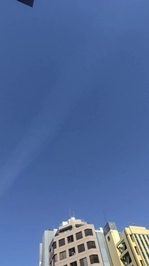 しゅっきん！！