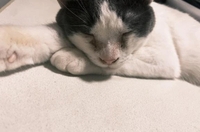 11/30(日) お礼日記💗