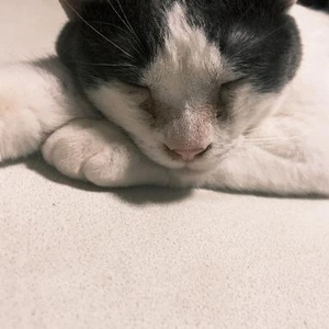 11/30(日) お礼日記💗